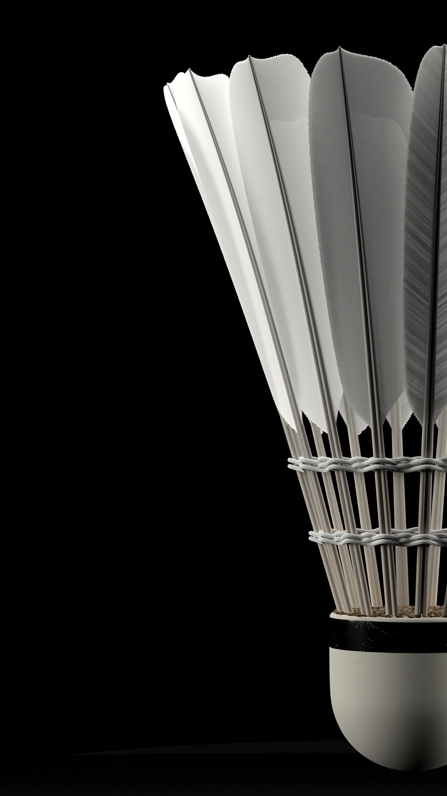 新一代B2 新一代B2