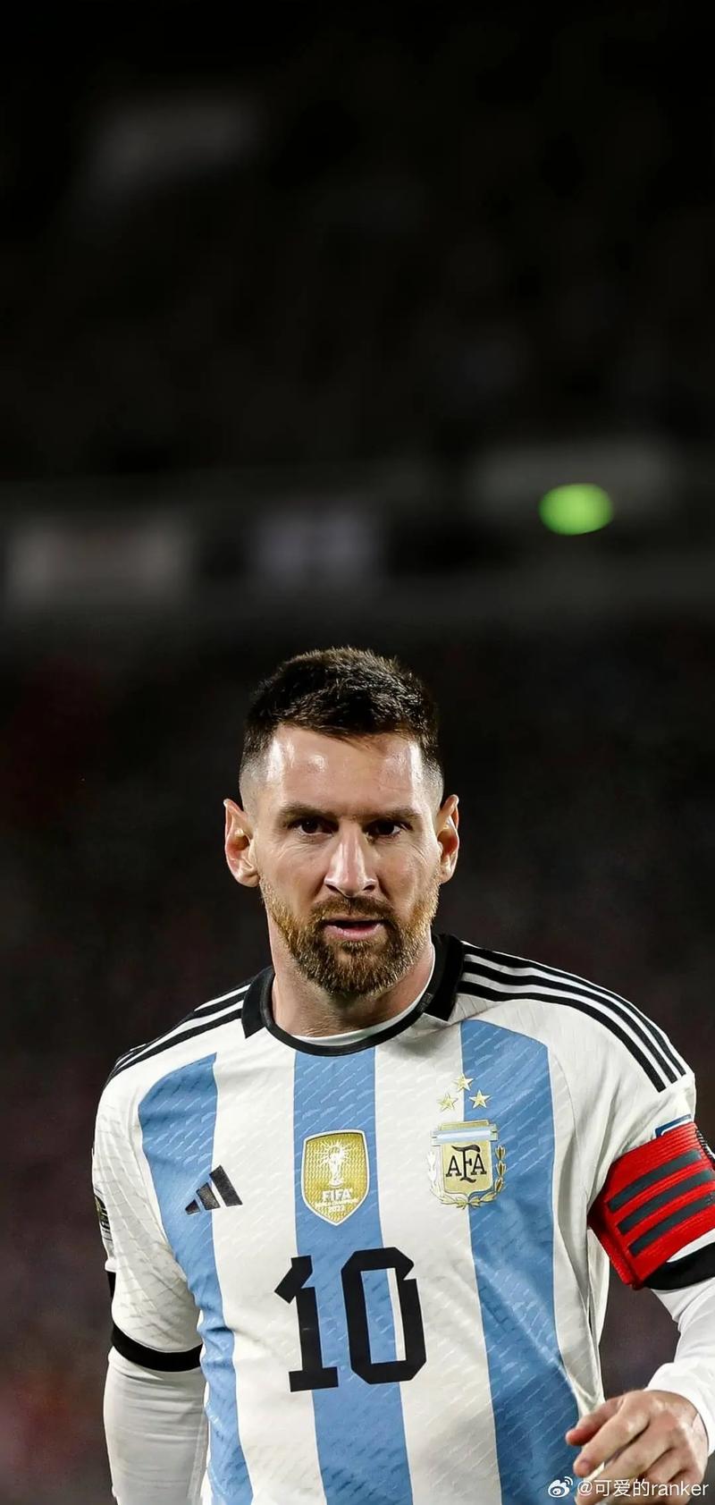 再补充两个 再补充两个