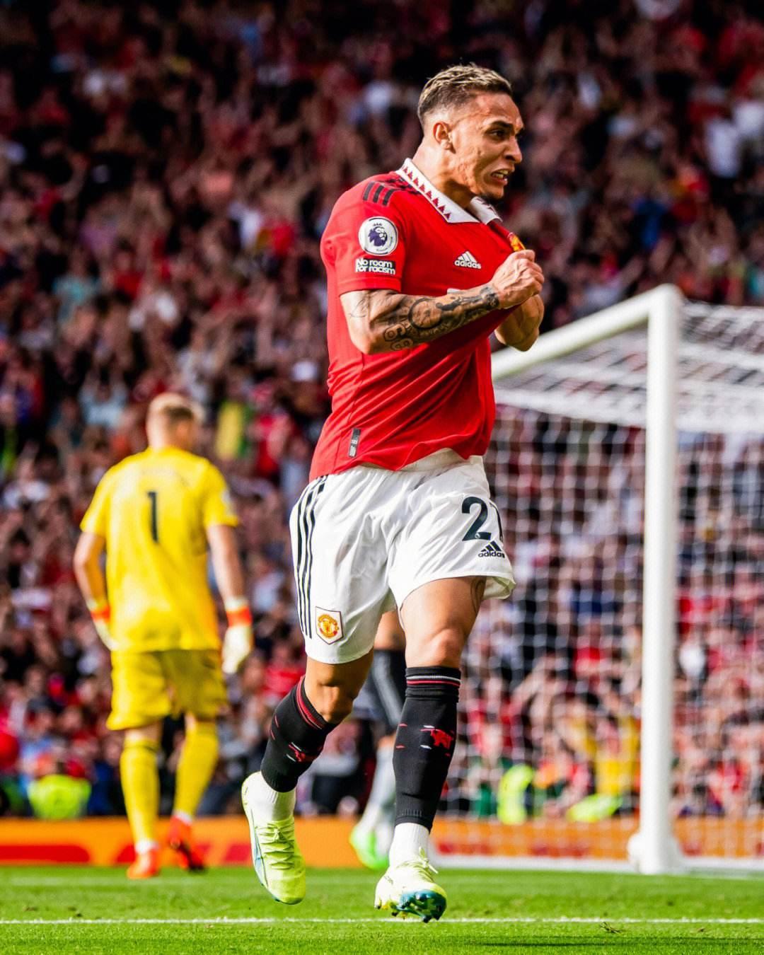 打的成长曲 打的成长曲